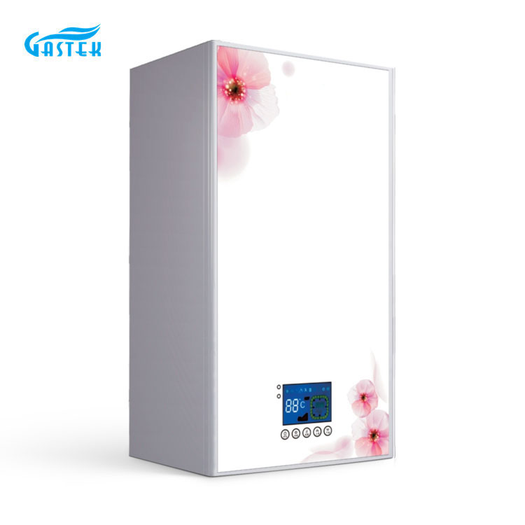 Features gas boiler (I)