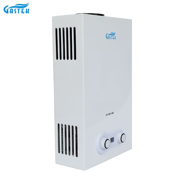 Domus Appliance Flue Type imber LPG Gas calida aqua calefacientis