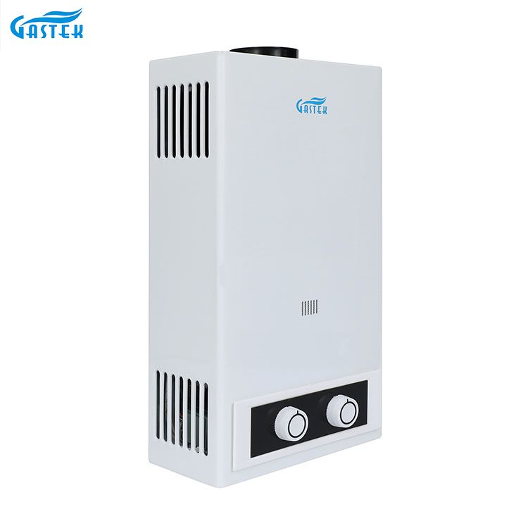 Domus Appliance Flue Type Wall Mounted LPG Tankless Instant Gas Geyser ad imbrem