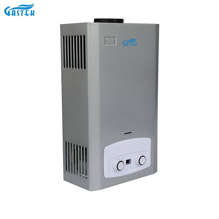 Domus Appliance Flue Type Wall Mounted Natural LPG Gas Geyser for Shower Bathing