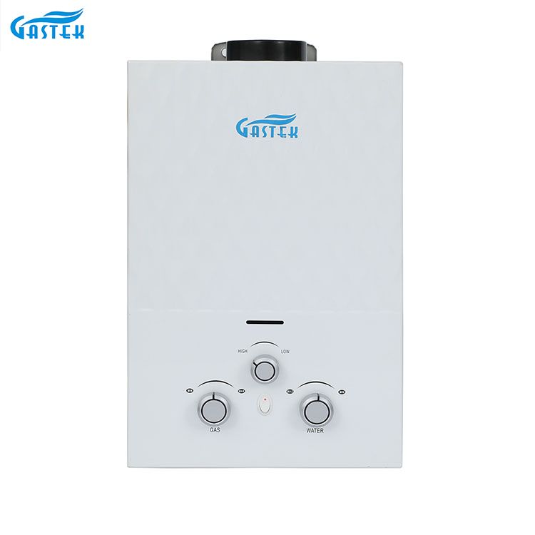 Flue Type Wall Mounted Tankless Instant Gas Hot aqua calefacientis ad imbrem