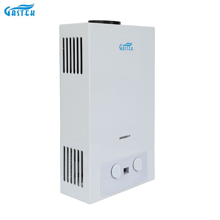 Home Appliance Flue Type LPG Naturalis Gas aqua calefacientis pro culina