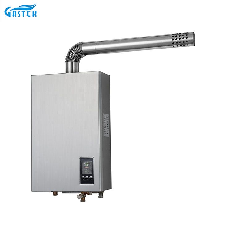Electricity 220V 110V Constans Temperature Forced Type Compact Size Gas Hot Water Heater