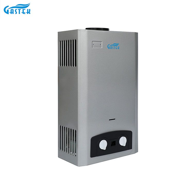 Domus Appliance Flue Type imber LPG Natural Gas Instant Gas aqua calefacientis
