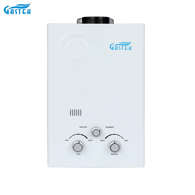 Flue Type Wall Mounted 6L 10L 12L 16L 20L LPG Instant Gas aqua calefacientis ad imbrem