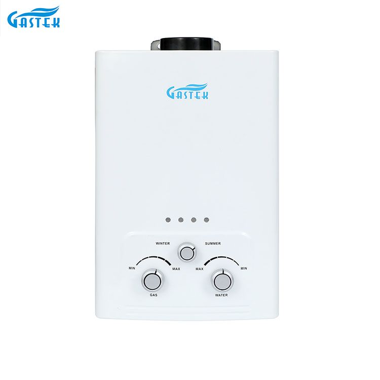 Flue Type Wall Mounted 6L 10L 12L 16L 20L LPG Tankless Instant Gas boiler for Shower bathing