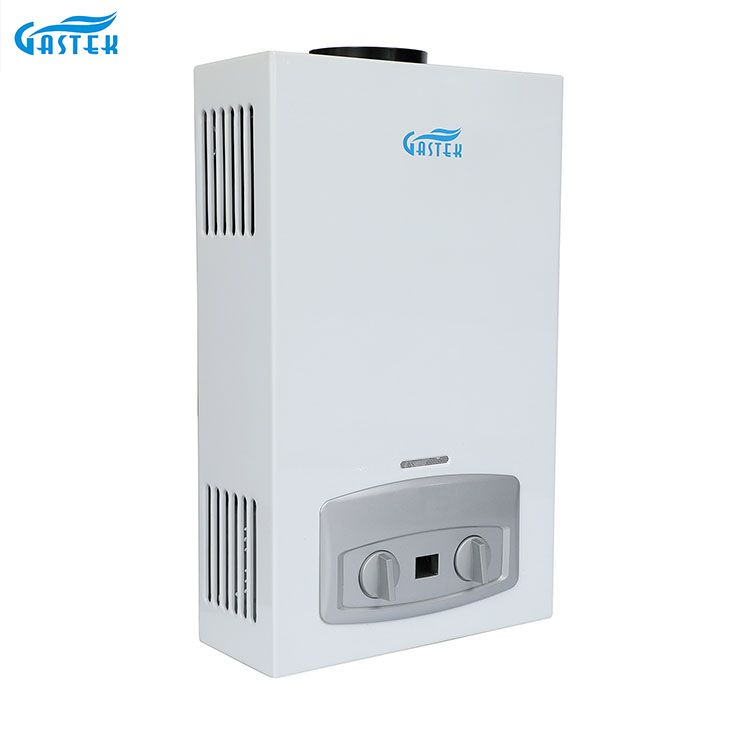 Domus Appliance Flue Type Wall Mounted 10L LPG Tankless instantes Gas calida aqua calefacientis ad imbrem