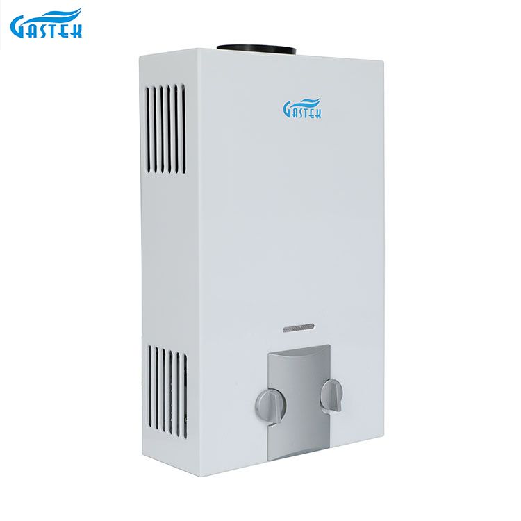 Domus Appliance Factory OEM ODM Flue Type Wall Mounted 6L 10L 12L 16L 20L LPG Tankless Instant Gas Geyser for Shower