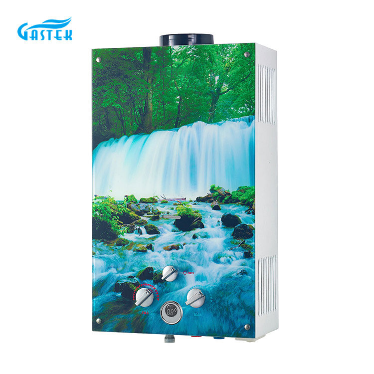 Domus Appliance Flue Type Glass Panel Instant Gas Water Heater in coquina