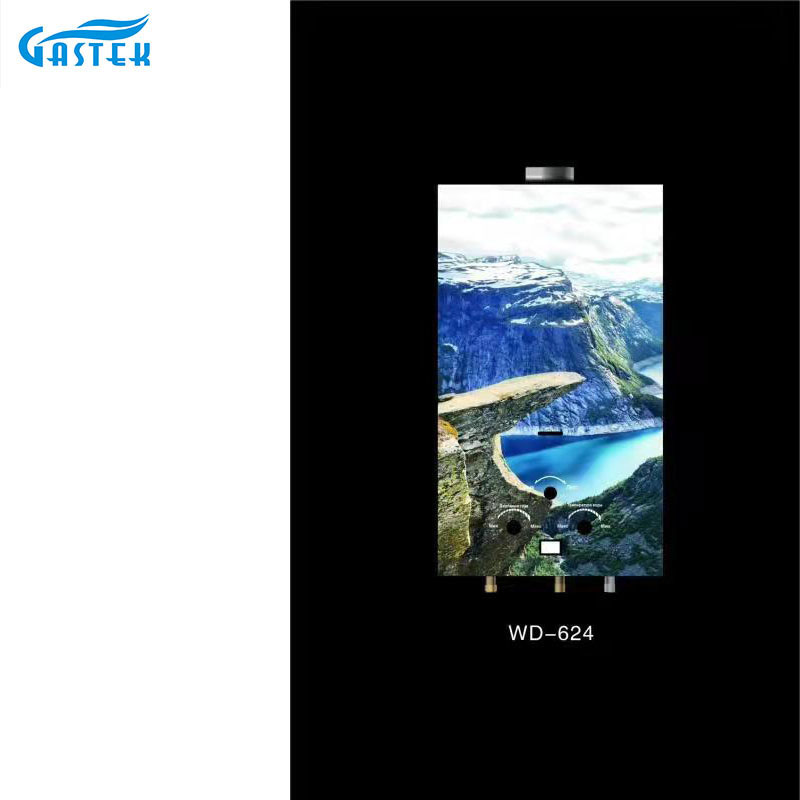 Domus Appliance customized Image Instant Gas aqua calefacientis ad imbrem