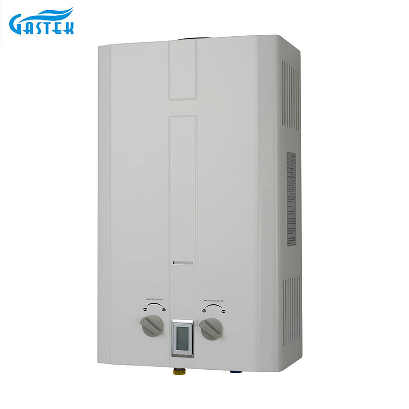 Flue Type Wall Mounted Domus Appliance Gas Geyser